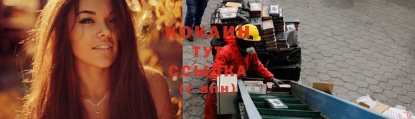дурь Алзамай