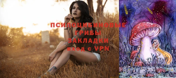 эйфоретик Алексеевка