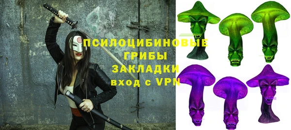 кокс Арсеньев