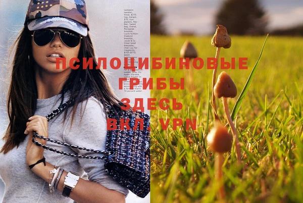 дурь Алзамай