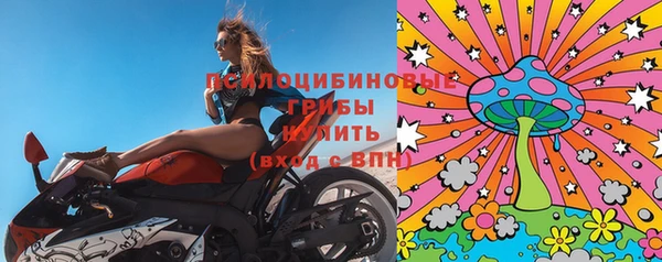 дурь Алзамай