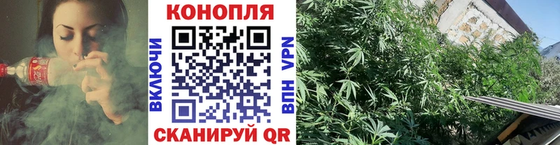 Конопля LSD WEED  Ивангород 